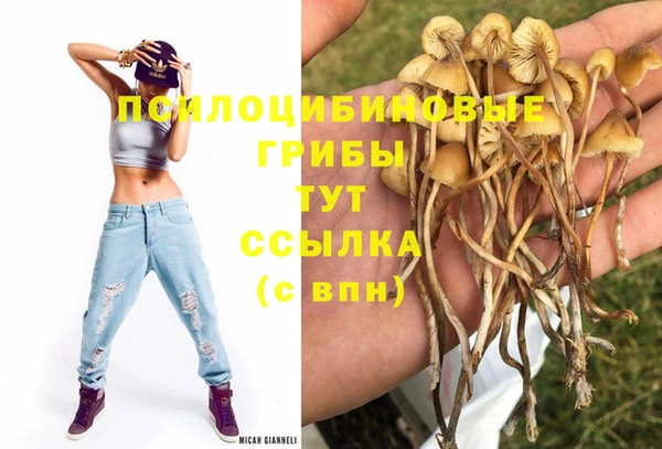 a pvp Белоозёрский