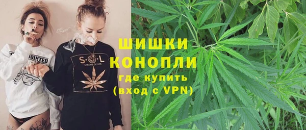 spice Белокуриха
